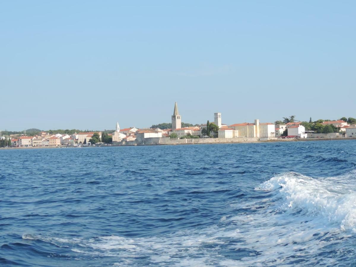Doris Apartman *